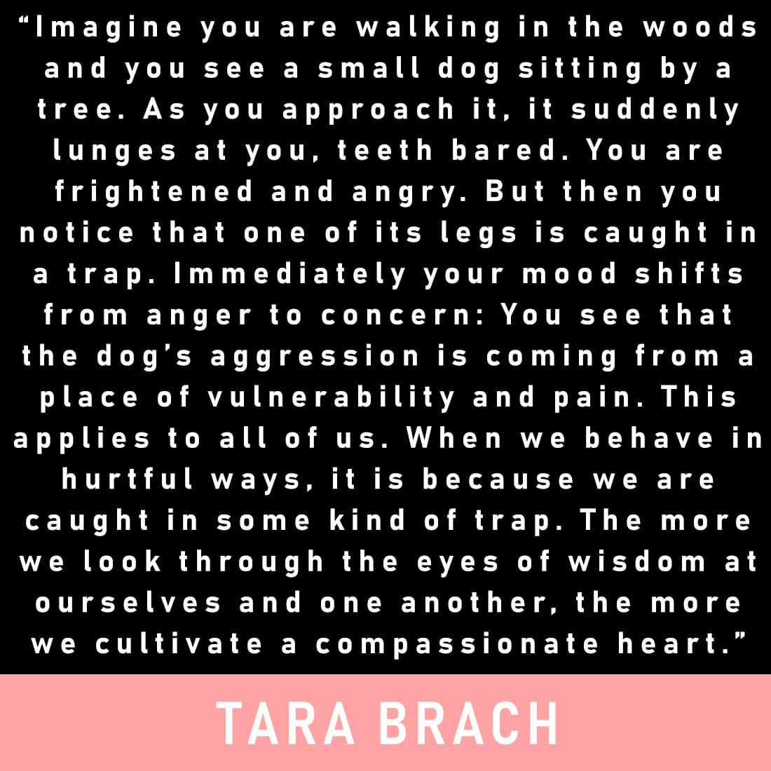 Tara Brach