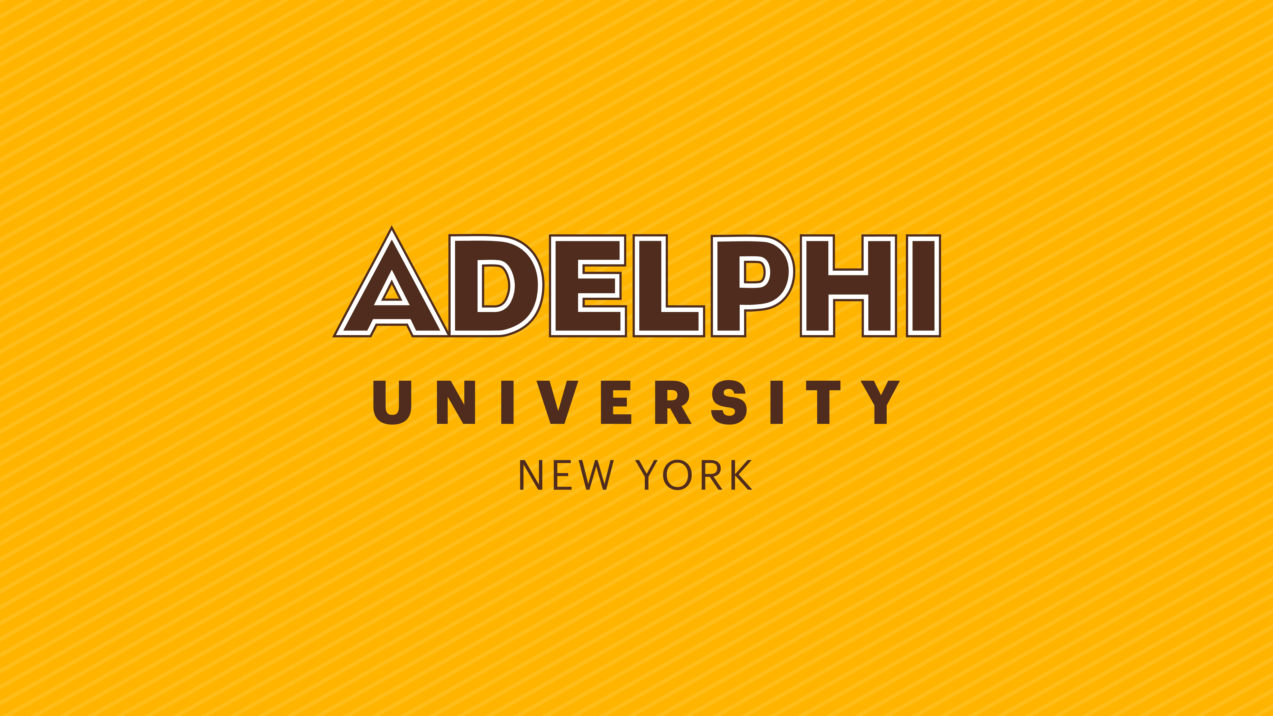 Robin Newman, Senior Adjunct Faculty Member at the Adelphi School of Social Work